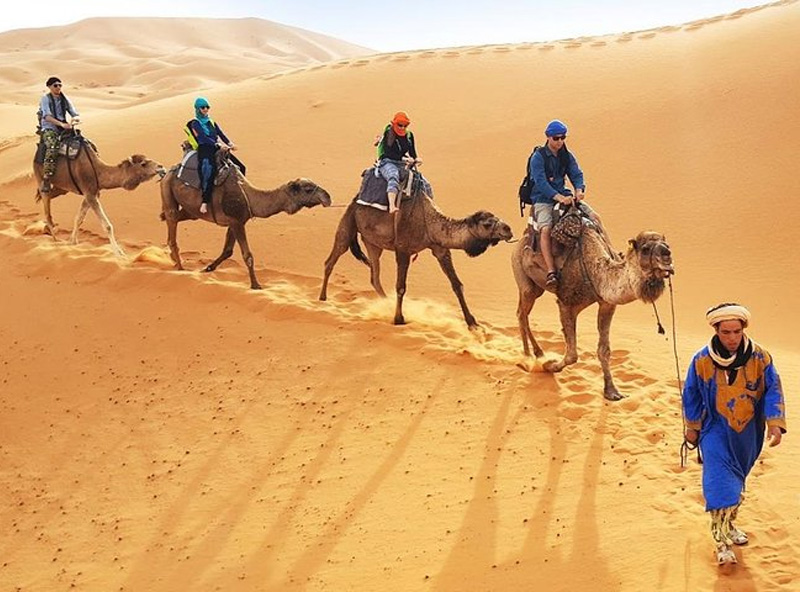 1 hour camel trek