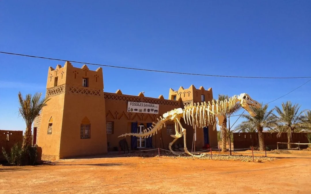 4-Day Desert Tour from Errachidia to Marrakech