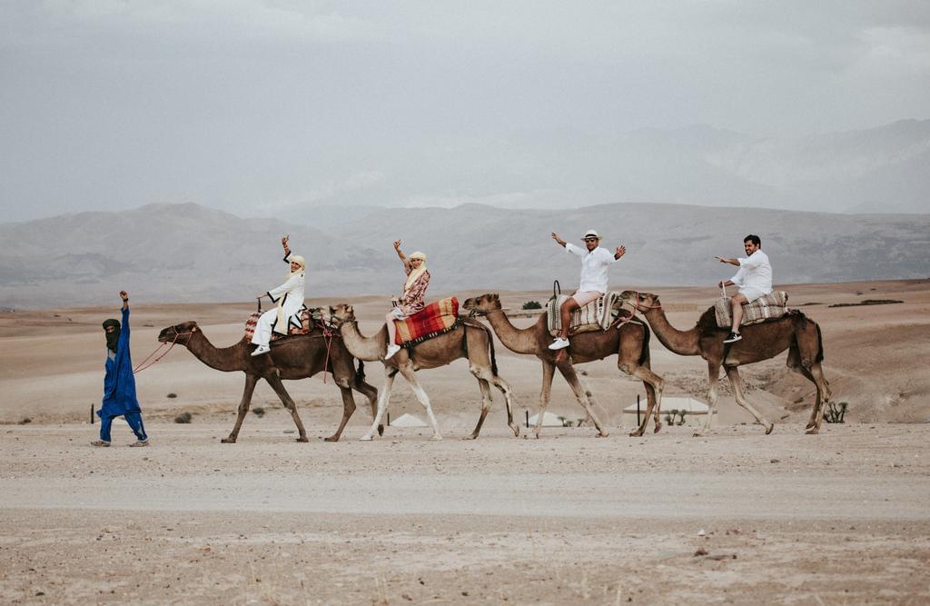8-Day Morocco Desert Tour from Marrakech to Casablanca