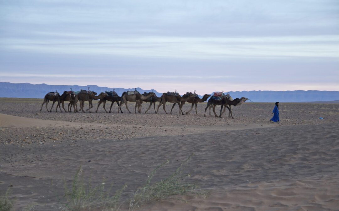 Moroccan Nomad Culture: How Families Still Live in the Sahara