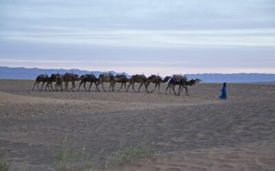 Moroccan Nomad Culture: How Families Still Live in the Sahara
