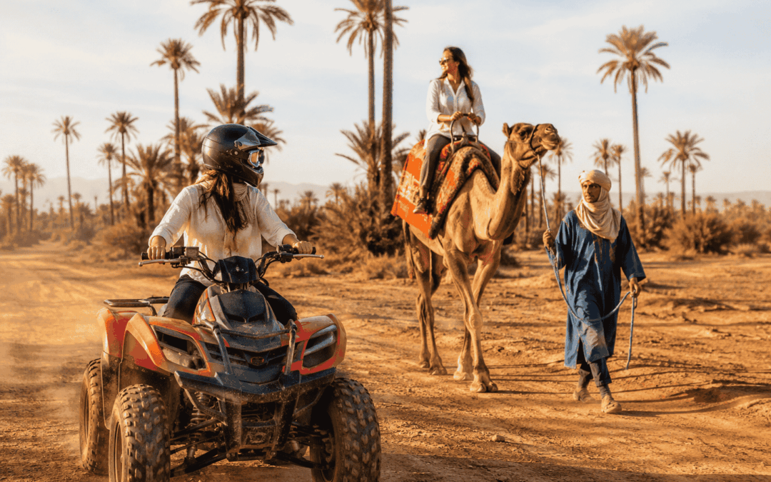 Marrakech Quad Bike vs Camel Ride: Which Experience Is Better?
